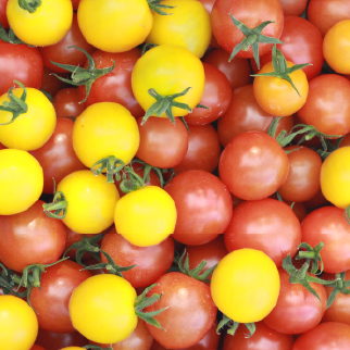 4種類のカラフルミニトマト